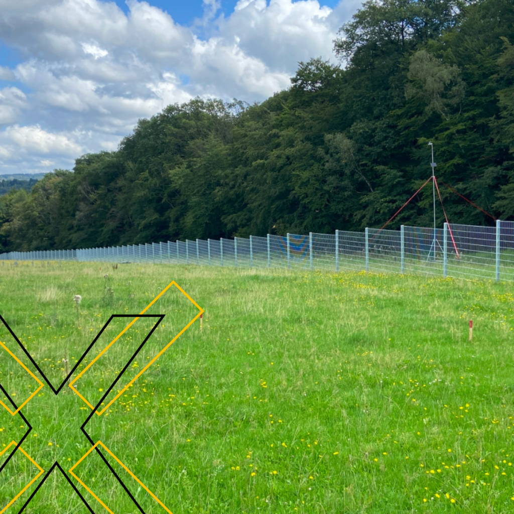 Baufortschritt Solarpark Lipporn